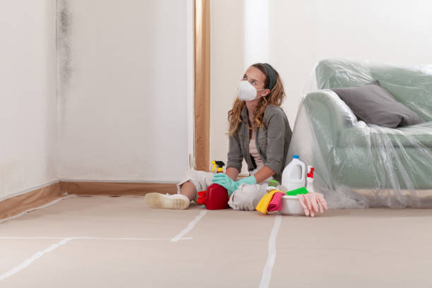 Reliable Mold Removal contractor in Edwardsburg, MI by WQB Mold Removal